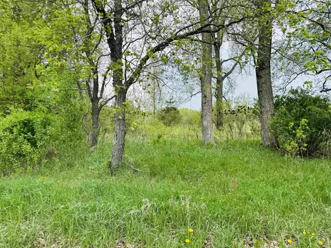 Parcel B3 Bosscher, Manton, MI 49663 photo 5