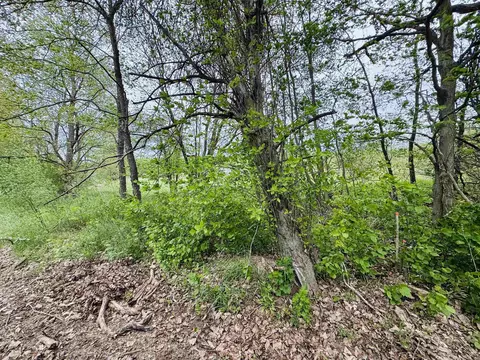 Parcel B3 Bosscher, Manton, MI 49663 photo 8