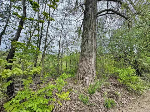 Parcel B3 Bosscher, Manton, MI 49663 photo 10