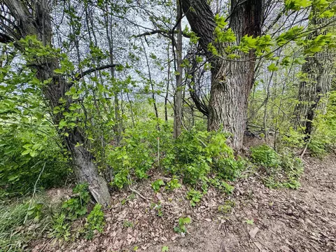 Parcel B3 Bosscher, Manton, MI 49663 photo 9