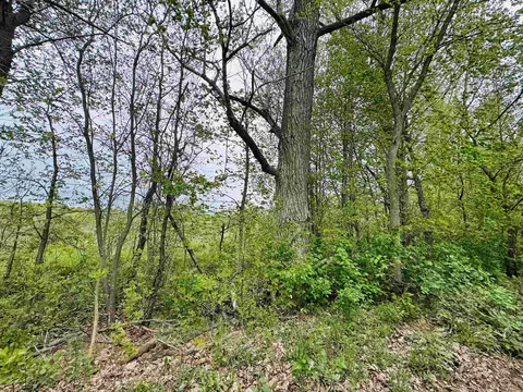 Parcel B3 Bosscher, Manton, MI 49663 photo 12