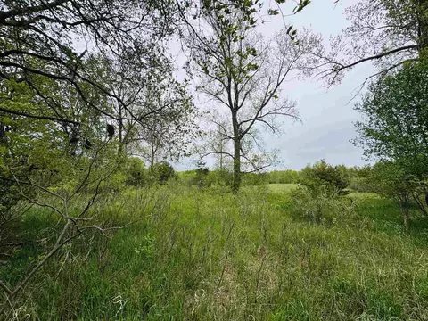 Parcel B3 Bosscher, Manton, MI 49663