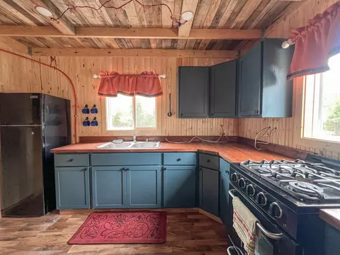 3633 E 16, Manton, MI 49663 photo 12