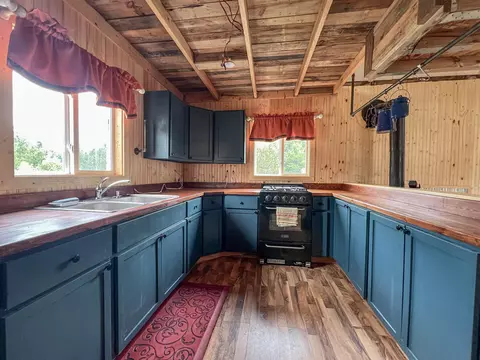 3633 E 16, Manton, MI 49663 photo 11