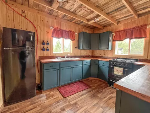 3633 E 16, Manton, MI 49663 photo 10