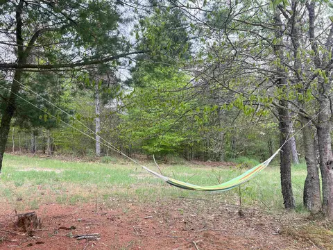 3633 E 16, Manton, MI 49663 photo 46