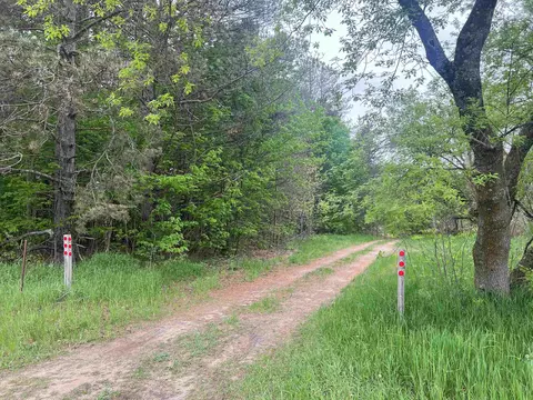 3633 E 16, Manton, MI 49663 photo 47