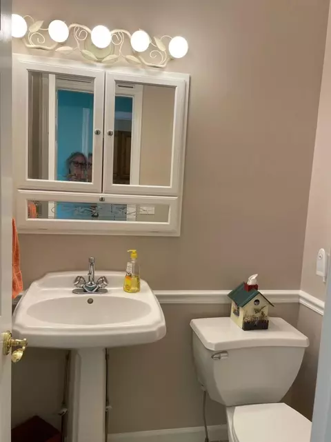 463 S Otis, Au Gres, MI 48703 photo 65