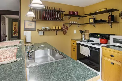 2552 E Birch, Cedar, MI 49621 photo 25