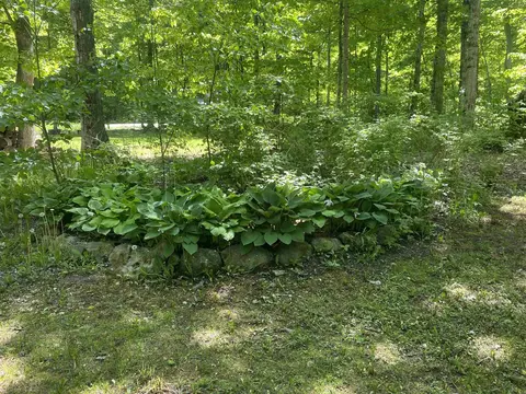 2552 E Birch, Cedar, MI 49621 photo 7