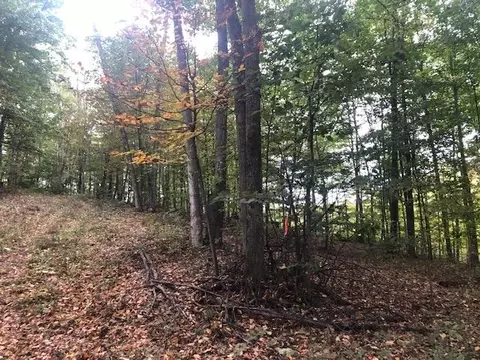 Parcel B Mariah, Northport, MI 49670
