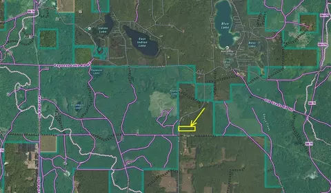 5124 Blue Lake Rd NE, Kalkaska, MI 49646