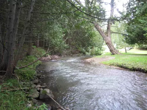 N/a Beechwood, Rose City, MI 48654