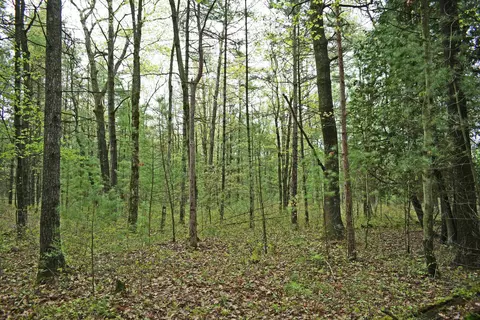 0 Schill, East Tawas, MI 48730
