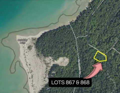 tbd Allens Lakeview #LOT S 867 & 868, Beaver Island, MI 49782