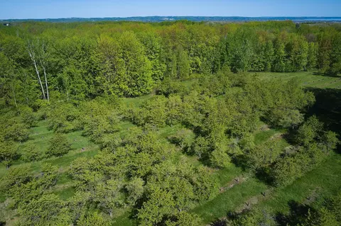 Parcel G Three Mile #: G, Traverse City, MI 49696