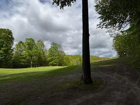 Unit 24 Forest, Bellaire, MI 49615