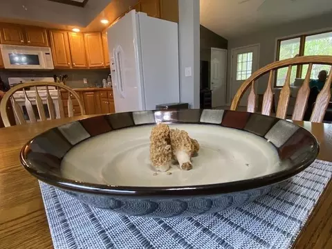 Other - 10200 Riley, Interlochen, MI 49643 photo 2 of 10