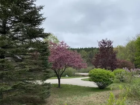 Exterior - 10200 Riley, Interlochen, MI 49643 photo 1 of 5