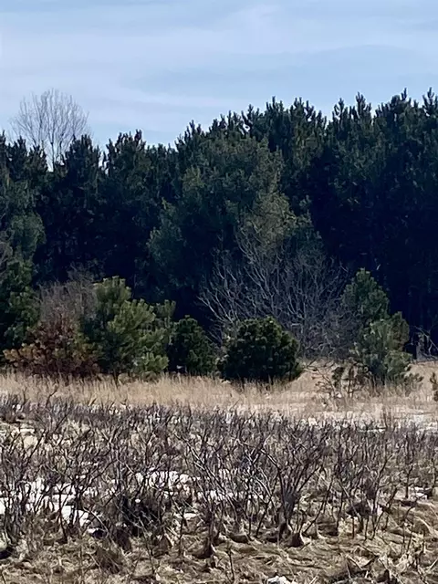 7430 Rapid City #LOT 1, Rapid City, MI 49676