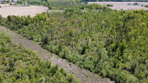 View/Area - 10745 W Remick, Blanchard, MI 49310 photo 8 of 10
