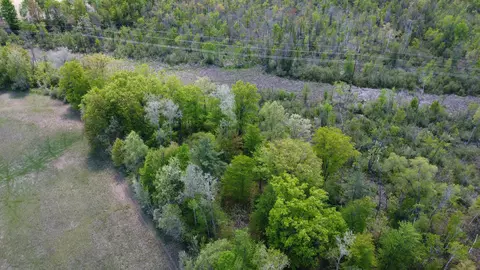View/Area - 10745 W Remick, Blanchard, MI 49310 photo 6 of 10