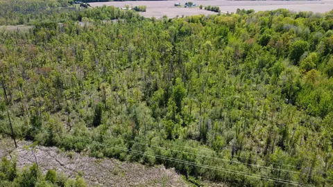 View/Area - 10745 W Remick, Blanchard, MI 49310 photo 9 of 10