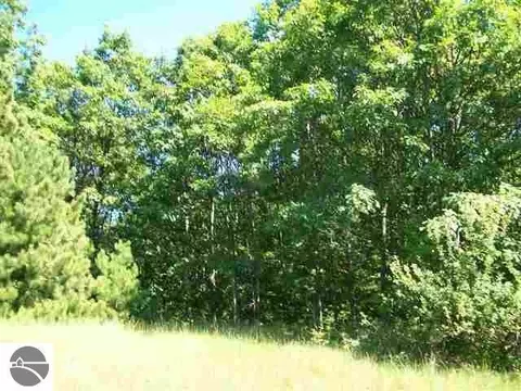 lot9 Torch Hls, Rapid City, MI 49676