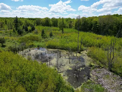 tbd 19 Mile, Marion, MI 49688