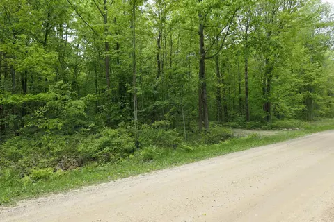 tbd S Lakeside, Shepherd, MI 48883 photo 3