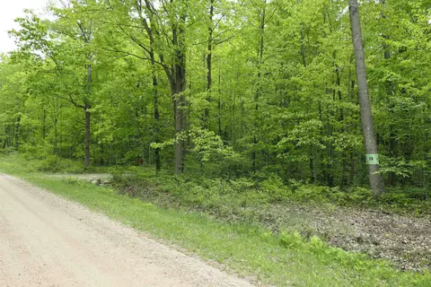 tbd S Lakeside, Shepherd, MI 48883 photo 2