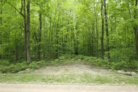 tbd S Lakeside, Shepherd, MI 48883