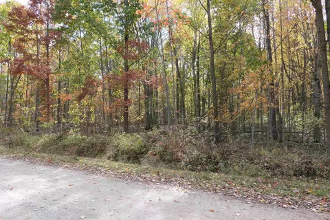 tbd S Lakeside, Shepherd, MI 48883 photo 8