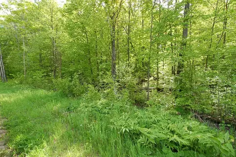 3882 S 5 12, Harrietta, MI 49638