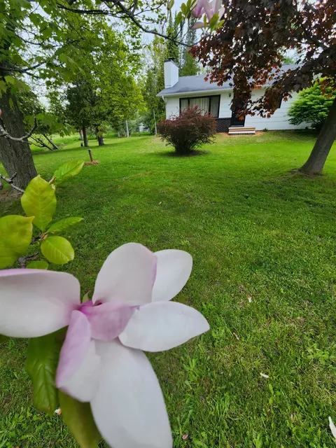 5693 E M 72, Williamsburg, MI 49690 photo 33