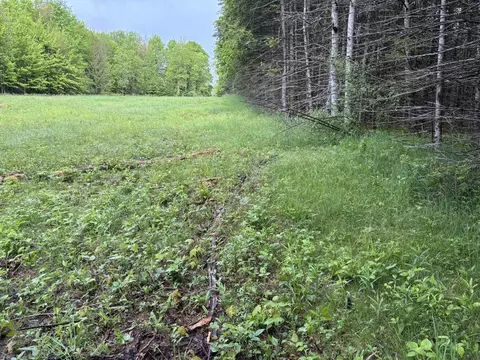 8240 N 8 Mile, Lake City, MI 49651