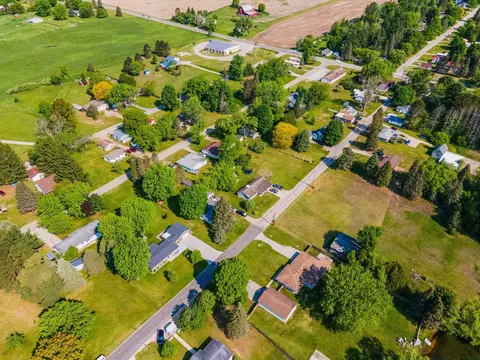 View/Area - 208 S Case, Marion, MI 49665 photo 14 of 17