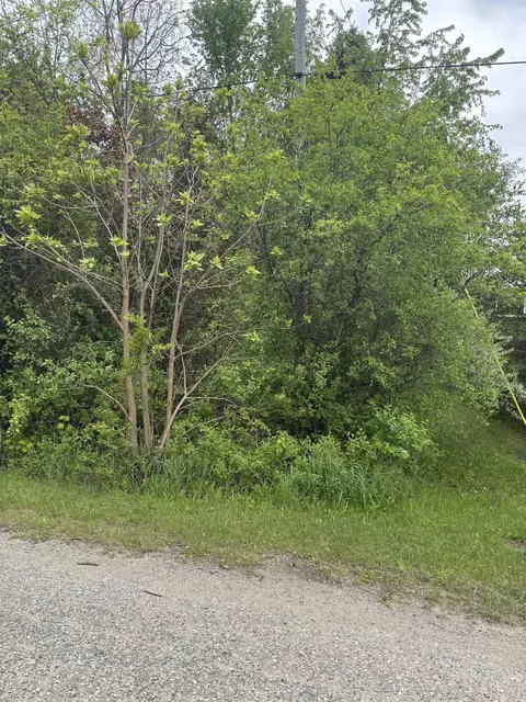lot49 Leona, Mount Pleasant, MI 48858
