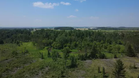 Off Of Gallagher, West Branch, MI 48661