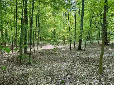 00 Honeybee #LOT : B, Empire, MI 49621