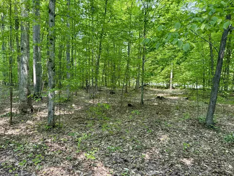 000 Honeybee #LOT : C, Empire, MI 49630