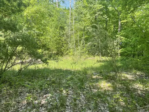 5403 E Cir, Rose City, MI 48654
