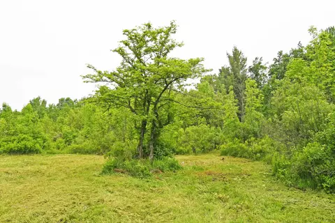 01 Alabaster, Turner, MI 48765 photo 4