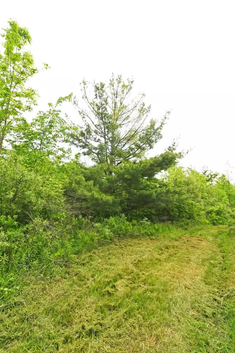 01 Alabaster, Turner, MI 48765 photo 3