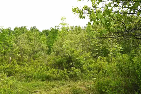 01 Alabaster, Turner, MI 48765 photo 6