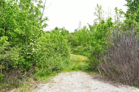 01 Alabaster, Turner, MI 48765 photo 2