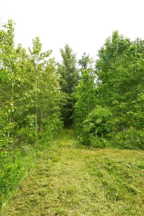 01 Alabaster, Turner, MI 48765 photo 7