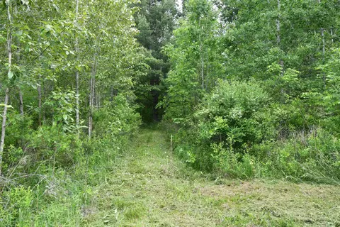01 Alabaster, Turner, MI 48765 photo 9
