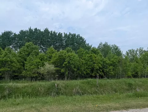 N/a Twining, Au Gres, MI 48703 photo 2
