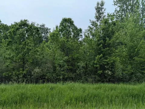 N/a Twining, Au Gres, MI 48703 photo 8